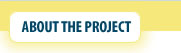 About the Project